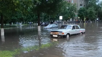 Москвичам пообещали тропический дождь - РИА Новости, 11.12.2022