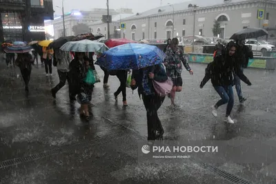 Поехавшие: на Москву обрушился ледяной дождь в Новый год (ФОТО; ВИДЕО) —  Новости Хабаровска