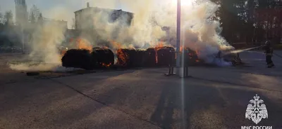 На страже закона: в Уфе чествовали сотрудников органов внутренних дел России