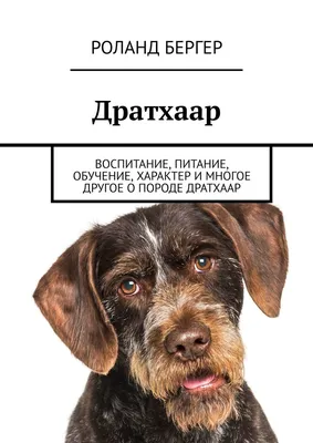 А что это за порода? - Дратхаар. - Как, как? | Пикабу