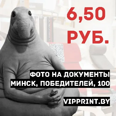 Новогодняя упаковка Дратути упаковка и подарки 96583751 купить за 2 815 ₽ в  интернет-магазине Wildberries