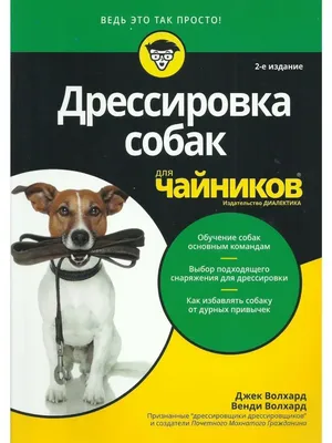 Дрессировка собак в Анапе в Анапе | Услуги | Авито