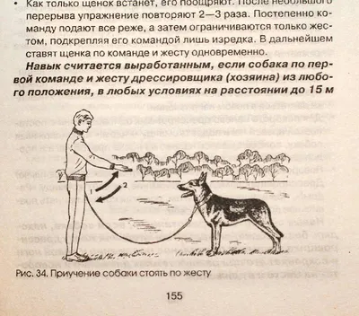 Иллюстрация 2 из 4 для Специальная дрессировка собак. Защитно-караульная  служба. Розыскная служба. Караульная служба - Владимир Гриценко | Лабиринт  - книги. Источник: Савчук Ирина