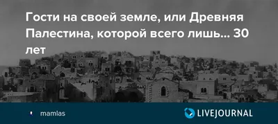 Древняя палестина виноградники …» — создано в Шедевруме