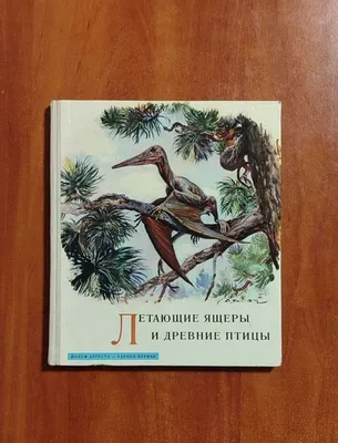 Характеристики модели Дунаева Ю.А. \"Летающие ящеры и древние птицы\" —  Познавательная литература — Яндекс Маркет