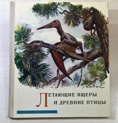 Книга Лада Летающие ящеры и древние птицы. Школьный путеводитель купить по  цене 324 ₽ в интернет-магазине Детский мир