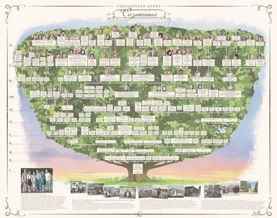 Лучшие программы для составления генеалогического древа семьи