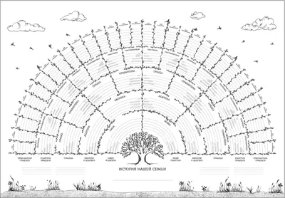 Волгоградские генеалоги рассказали, как составить древо семьи
