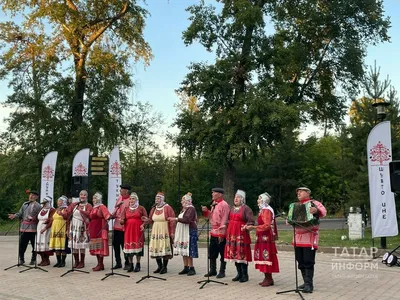 Открытое древо жизни • Вероника Самоцкая • Научная картинка дня на  «Элементах» • Биология