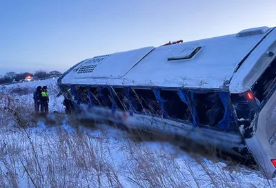 Ехали к бабушке с дедушкой: пятеро человек погибли в жуткой аварии в  Хабаровском крае - KP.RU