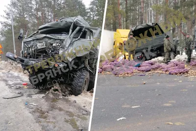 Под Карачевом Брянской области в ДТП с минивэном и грузовиком погибли два  человека | Брянские новости