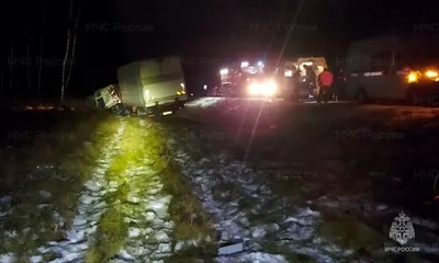 В Брянской области произошло смертельное ДТП с микроавтобусом - РИА  Новости, 28.12.2022