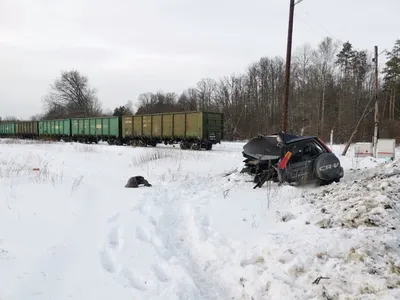 В Брянской области в ДТП с автобусом погибли два человека - РИА Новости,  04.02.2024