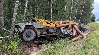 В Брянской области четыре человека погибли в ДТП на трассе федерального  значения | РИА «Стрела»