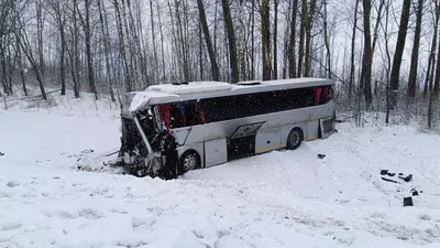 Бастрыкину доложат о расследовании крупного ДТП в Брянской области - РИА  Новости, 10.03.2023