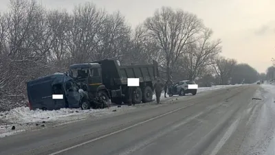 Под Карачевом Брянской области в массовом ДТП с КамАЗом погибли три  человека | Брянские новости