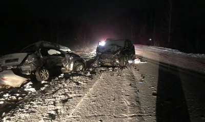 В ДТП на трассе в Челябинской области погибла известная художница