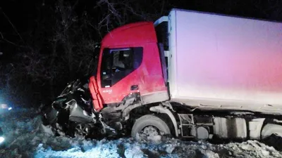 Стали известны подробности смертельного ДТП с грузовиком на Урале - РИА  Новости, 26.03.2023