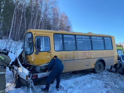 В Челябинской области выбежавший на дорогу лось спровоцировал ДТП