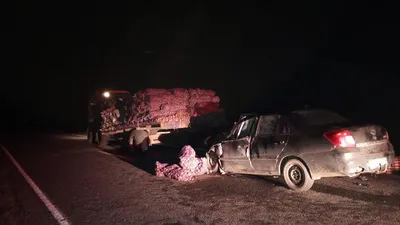 Два человека погибли и два пострадали в ДТП на трассе М-5 в Челябинской  области | 09.08.2023 | Челябинск - БезФормата