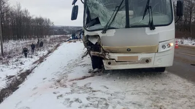 В Липецкой области погибли два человека при столкновении автобусов - РИА  Новости, 30.11.2023