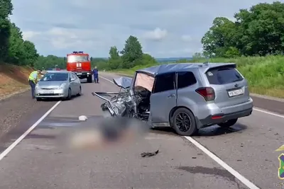 Во Владивостоке пьяный водитель Lexus устроил ДТП с четырьмя машинами - РИА  Новости, 19.03.2023