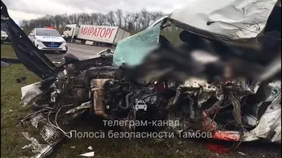 Страшное ДТП на трассе «Воронеж-Тамбов»: 22-летний водитель Peugeot погиб  от столкновения с фурой - ПроТамбов