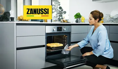 встраиваемая духовка ZANUSSI OPZB4200Z