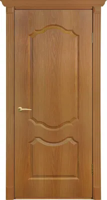 Двери канадка - низкие цены в магазине Mr.Door | Купить в Кривом Роге,  Киеве, Украине