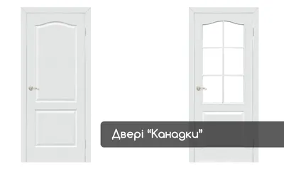 Дверь канадка 70 глухая грунтованная Н/К, цена в Березниках от компании  Колизей