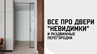 Двери Невидимки ДревПром