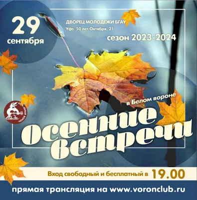 07.10.2023 Диана Анкудинова, Дворец молодёжи Уфа, билеты на сайте «Афиша  Города»