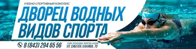 К Играм БРИКС в Казани обновят Дворец водных видов спорта | Вечерняя Казань