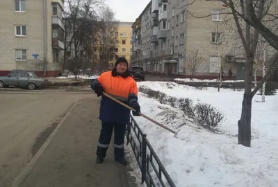 В школу требуется дворник от 45: 18000 KGS ᐈ Дворники, садовники | Бишкек |  58310845 ➤ lalafo.kg