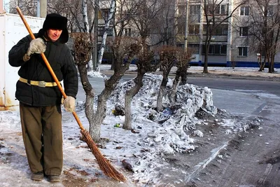 Женщина с метлой. Лучший дворник Нижнего Новгорода – об уважении к труду |  События | ОБЩЕСТВО | АиФ Нижний Новгород