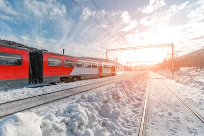 Поезд «Северная Пальмира» отменят после новогодних каникул - 22 ноября 2021  - 93.ru