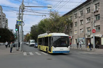 Джельсомино в стране лгунов\" - актуально и в наши дни