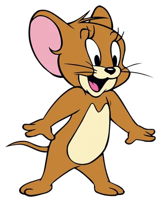 Tom and Jerry PNG transparent image download, size: 1785x2238px