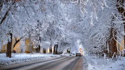 Прогноз погоды в Екатеринбурге на неделю (7 дней)