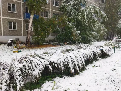 Погода В Екатеринбурге: последние новости на сегодня, самые свежие сведения  | e1.ru - новости Екатеринбурга