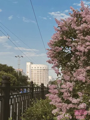 Вечерний Екатеринбург.