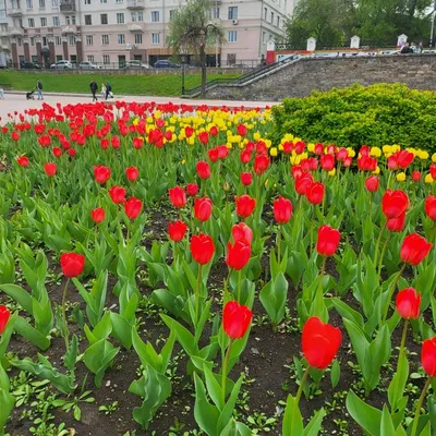 Обваловка в Екатеринбурге весной Стоковое Изображение - изображение  насчитывающей зодчества, строя: 109374971