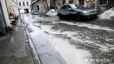 В Екатеринбурге зацвели тюльпаны (ФОТО) / 18 мая 2023 | Екатеринбург,  Новости дня 18.05.23 | © РИА Новый День