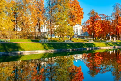 Екатерининский парк - Парки москвы - отличное место для прогулки и не  только...