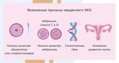 ЭКО в России – история и современность