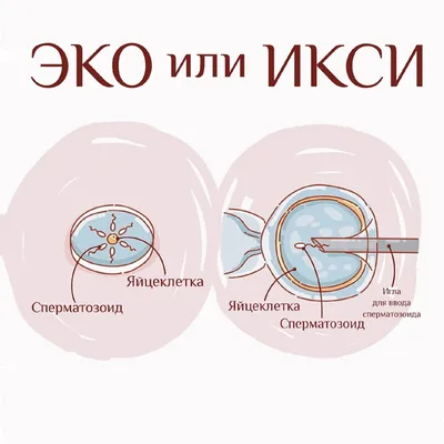 Дерево и сердца- логотип эко Природа и любовь эмблемы День святого  валентина Окружающая среда Иллюстрация вектора - иллюстрации насчитывающей  каракули, трава: 169749561