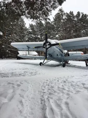 Ведущий загородный объект Западной Сибири «Эко-парк Тайга» (@taigapark72) •  Instagram photos and videos