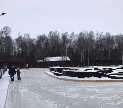 В Затюменском парке переделали фигуры лося, кабана и зайца - 18 сентября  2018 - 72.ru