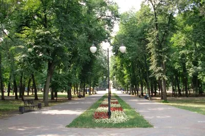 Петровскую набережную в Воронеже могут реконструировать в эко-парк  «Черноземноморье» - KP.RU