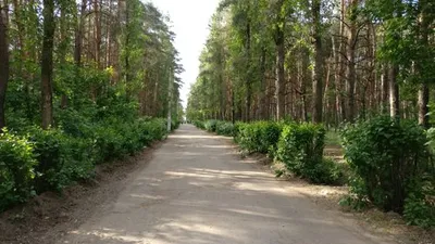 Эко Парк Воронеж, туристический комплекс, улица Воронежская заимка, 1/3, с.  Воронежское-1 — 2ГИС